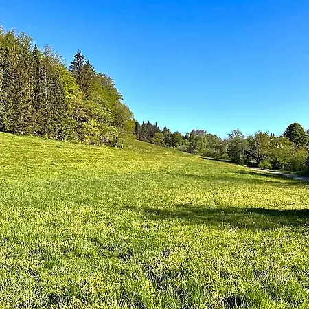 Smart B&b1 Bb1 134 Winterberg
